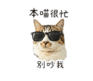 837583350