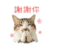 837583352