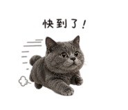 837583637