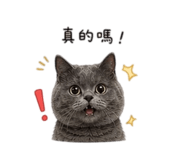 837583640