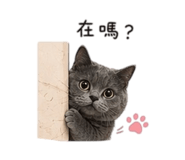 837583641