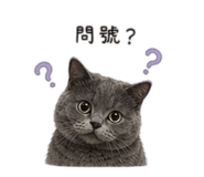 837583653