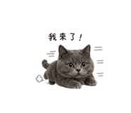 837583664