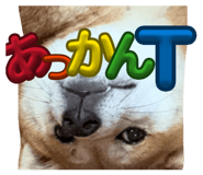 837584145