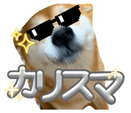 837584146
