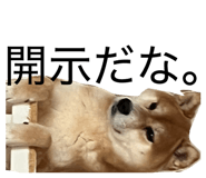 837584147