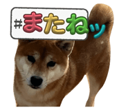 837584153