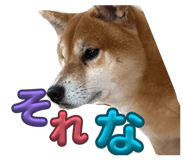 837584154