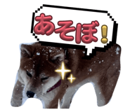 837584161