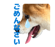 837584163