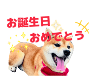 837584164