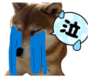 837584165