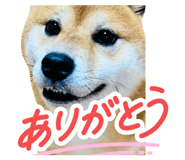837584167