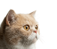 837588944