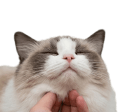 837588960