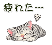 837589126