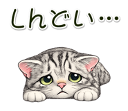 837589127