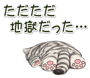 837589128