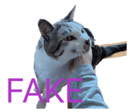 837591581