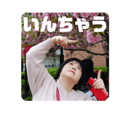 837591623