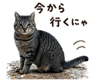 837594341