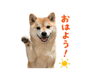 837594361