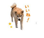 837594365