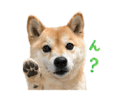 837594368