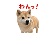 837594372