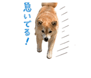 837594373