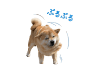 837594375