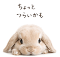 837595297