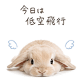 837595309