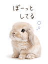 837595314