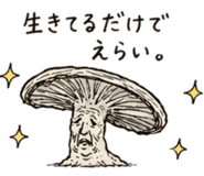 837596820