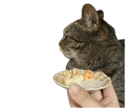 837596885