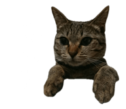 837596891