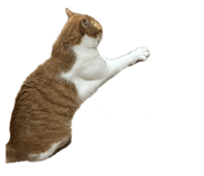 837596894