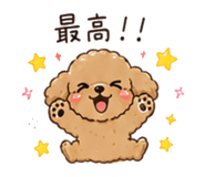 837598516
