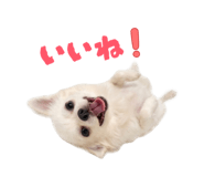 837601334