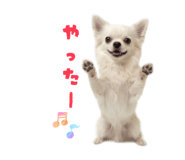 837601336