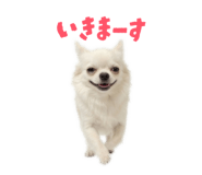 837601338