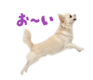 837601340