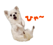 837601347