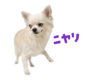 837601349