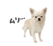 837601354