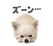 837601356