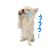 837601360
