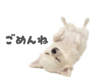 837601362