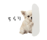 837601363